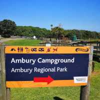 Ambury Regional Park – City-Farm & Harbour Retreat on Auckland’s Shores