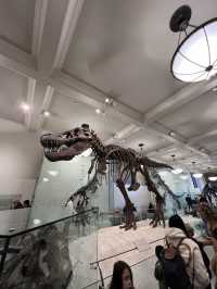 ［紐約旅行］紐約自然歷史科學博物館American Museum of Natural History🦴晚上會活起來的博物館