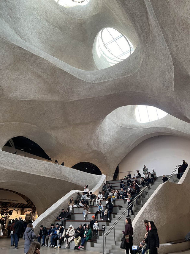 ［紐約旅行］紐約自然歷史科學博物館American Museum of Natural History🦴晚上會活起來的博物館