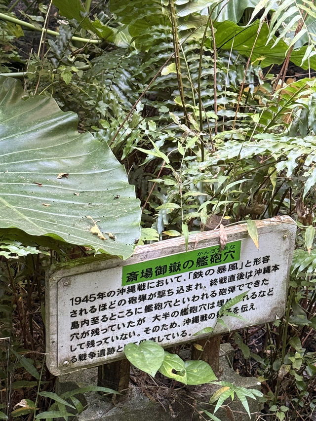 日本沖繩｜齋場御嶽的艦砲穴：聖域綠蔭下的戰爭記憶