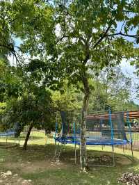 Taman Botani Putrajaya – The Lungs of Malaysia’s Garden City 