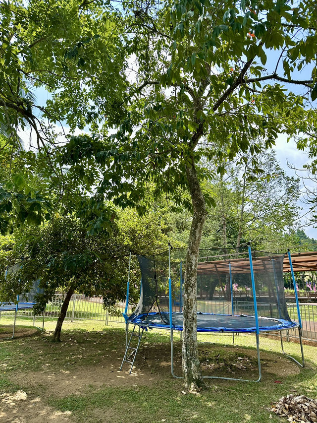 Taman Botani Putrajaya – The Lungs of Malaysia’s Garden City 