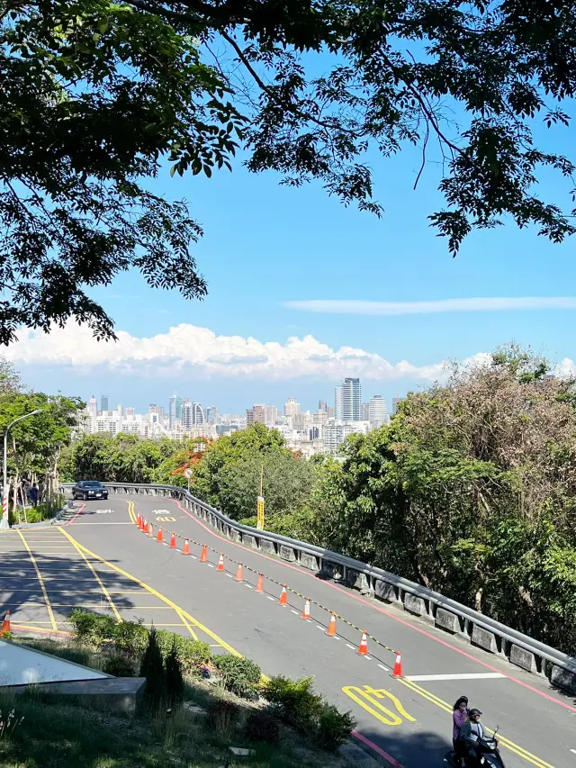 高雄|壽山動物園—在珊瑚石山林裡上生態課:看梅花鹿、藍孔雀與草原斑馬,順路吹一下午的海風 🦌🦚🦓