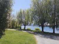 Lake Wānaka