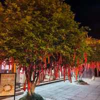 🏮 Fuzimiao – Nanjing’s Lively Old Quarter 🏮