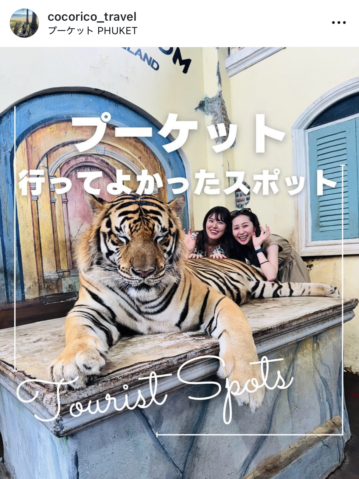 Thailand Travel Diary 🇹🇭
A Summary of the Best Places I Visited in Phuket 🎯
Phuket, Thailand's largest island, is known as one of the world's leading resort destinations. 🏝️
I'm so glad I went to Tiger Kingdom, where I could take photos with tigers, something I've always wanted to do!
It's about a 20-minute drive from Patong Beach, and the photo shoot cost about ¥8,000. 🐯💸
Old Town was so colorful and adorable.
If I had more time, I would have loved to see all the shops. 💐
If you're going to Old Town, I recommend planning your trip with ample time!
————————————
#Thailand #ThailandTrip #ThaiFood #ThailandTourism #Bangkok #BangkokTrip #BangkokGourmet #BangkokTourism #Phuket #PhuketTrip #PhuketGirlsTrip #PhuketSightseeing #PatongBeach #TigerKingdom #KaronBeach #PhuketOldTown #WatChaithararam #GirlsTrip #GirlsTrip #GirlsTripPlanning #OverseasTravel #IWantToConnectWithPeopleWhoLikeToTravel #Travel #IWantToConnectWithPeopleWhoLikeToTravel #Tabijo #OverseasTravelWay #MyTravelPlan