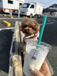 【千葉】旅の休憩スポット