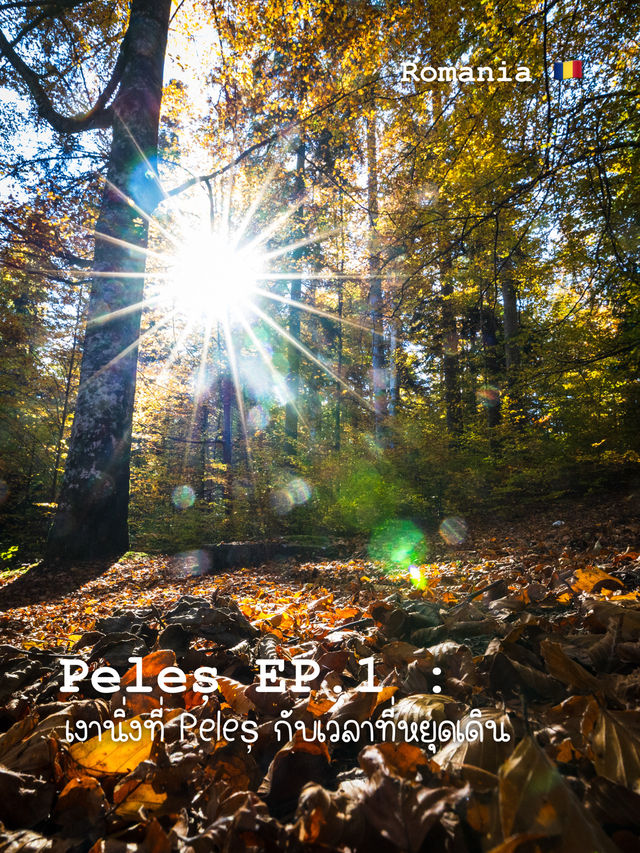 Peleș EP.1 : เงานิ่งที่ Peleș กับเวลาที่หยุดเดิน