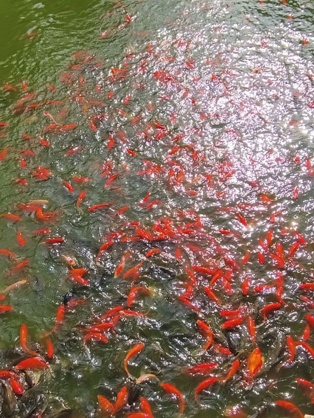 親子旅遊必去象鼻山景區🥳