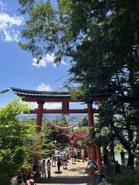 【秋日限定】淺間公園的夢幻畫面