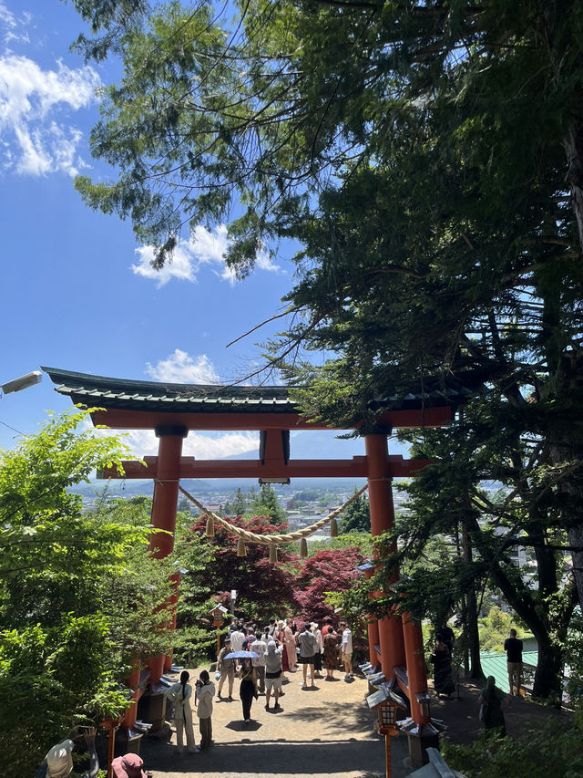 【秋日限定】淺間公園的夢幻畫面