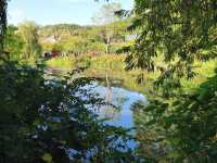 Claude Monet's House and Gardens - Giverny