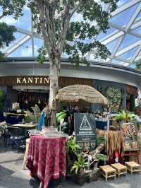 🌴シンガポールの空港で味わう癒しと美味しいアイス🍨|Jewel Changi Airport