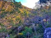 🌿 Nature’s Hidden Gem – Explore the Serenity of Roley Pool Reserve