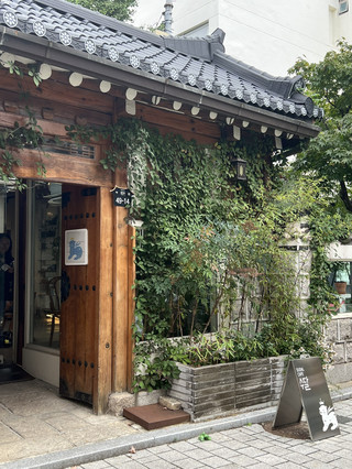 외국인도 반한 서울 한옥 카페, 이유가 있네 