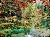 Trout farm and restaurant