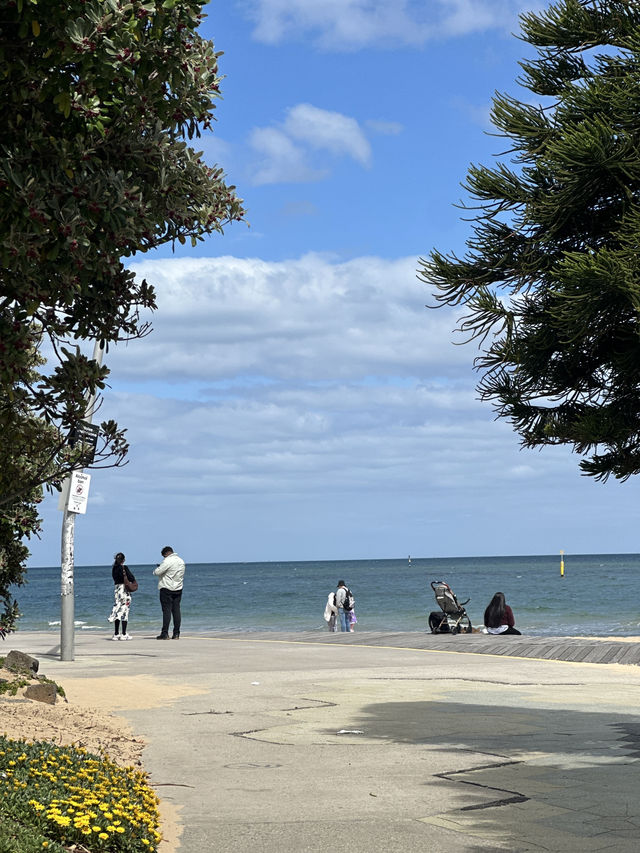 Beach Day Trip🏖️  