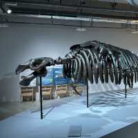 北海道札幌市中心- AOAO SAPPORO水族館