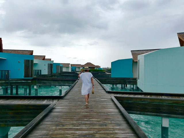 Where Island Luxury Meets Rockstar Energy Where Island Luxury Meets Rockstar Energy