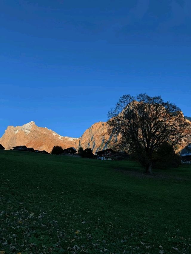 Swiss Peaks Dream🍂