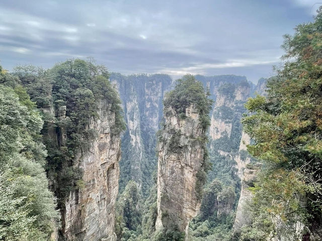 Zhangjiajie หุบเขาอวตารของจริง! วิวสุดล้ำ  Zhangjiajie หุบเขาอวตารของจริง! วิวสุดล้ำ