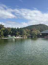 Katsuoji 勝尾寺
