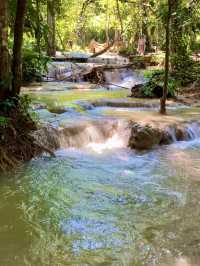 ルアンパバーンからバスで行ける!?🚌クアンシー滝(Kuang Si Falls) 🏞️