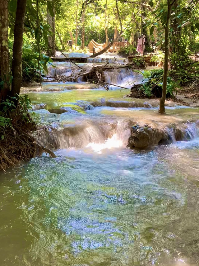 ルアンパバーンからバスで行ける!?🚌クアンシー滝(Kuang Si Falls) 🏞️ ルアンパバーンからバスで行ける!?🚌クアンシー滝(Kuang Si Falls) 🏞️