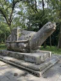 🇨🇳 History in the Clouds: Exploring Nanjing’s Purple Mountain (Zijin Shan)