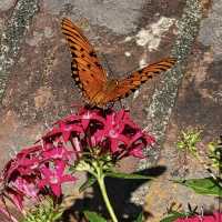 Brookgreen Gardens