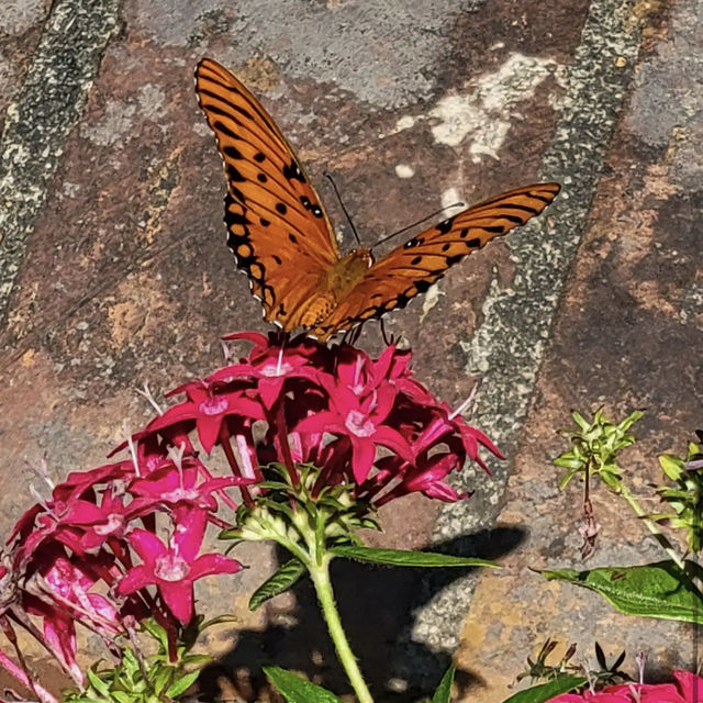 Brookgreen Gardens