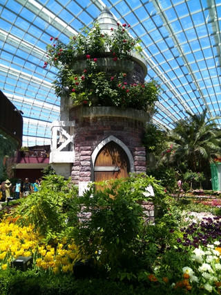 Floral Odyssey: A Global Feast of Blooms