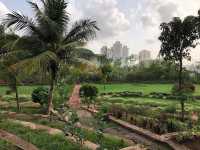 Sanjay Gandhi National Park