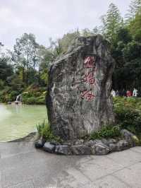 Panda Valley (Good Alternative to Chengdu Research Base of Giant Panda Breeding)