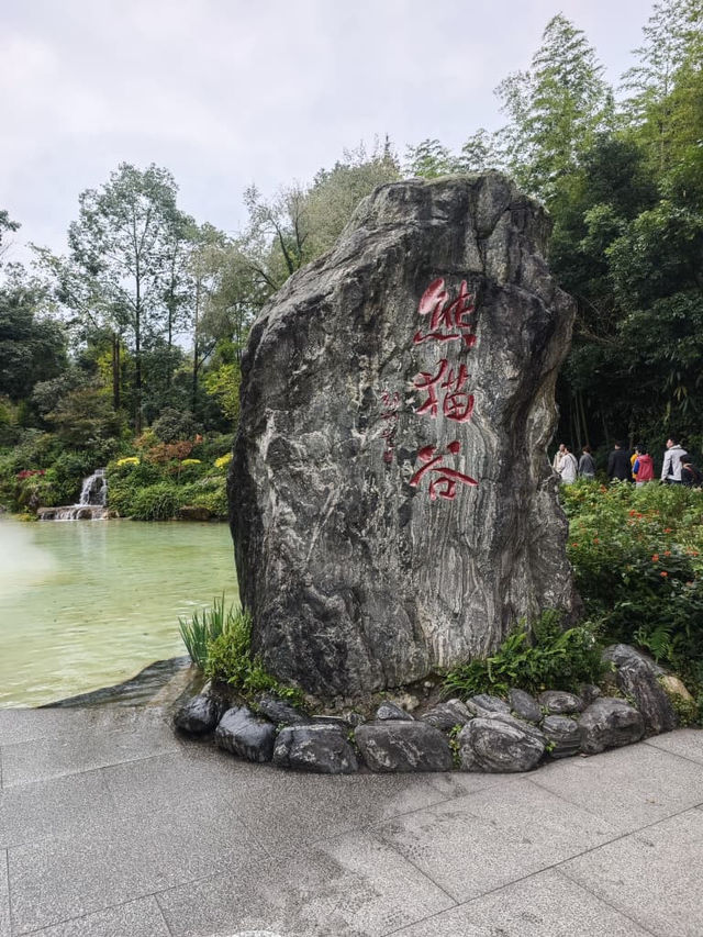 Panda Valley (Good Alternative to Chengdu Research Base of Giant Panda Breeding)