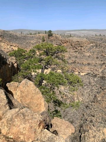 A Quiet Slice of Authentic Canary Island Life A Quiet Slice of Authentic Canary Island Life