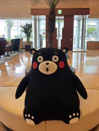 ์์ด๋ค์ด๋ ๊ฐ๊ธฐ ์ ๋ง ์ข์ ๊ตฌ๋ง๋ชจํ ํธํ
, ๋ฏธ์ธ ์ด ๊ฐ๋ !