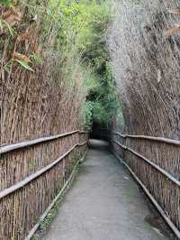 A Convergence of Asian Cultures at The Great Asia-Africa