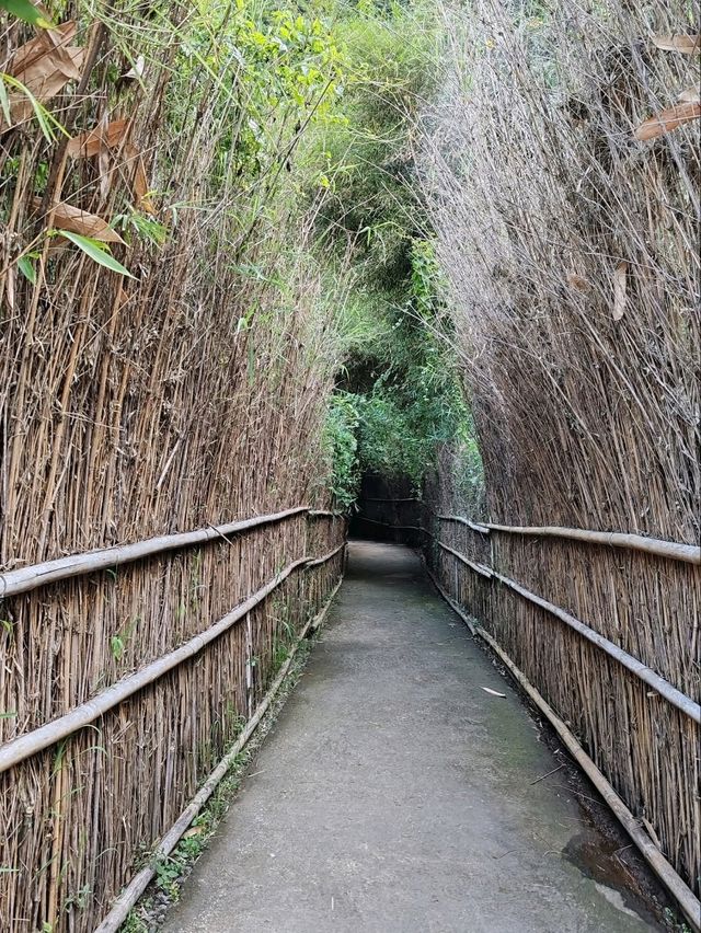 A Convergence of Asian Cultures at The Great Asia-Africa