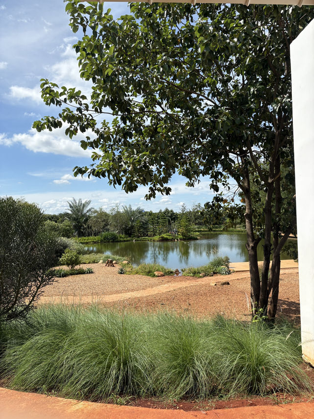 ไร่วันยังขำ คาเฟ่ โอพันเทีย และสวนสน ไร่วันยังขำ คาเฟ่ โอพันเทีย และสวนสน