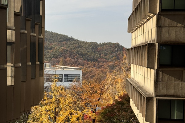 Campus Vibes in Fall 🍂 Seoul National University | Trip.com Seoul