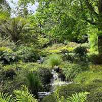 Ayrlies Garden and Wetlands