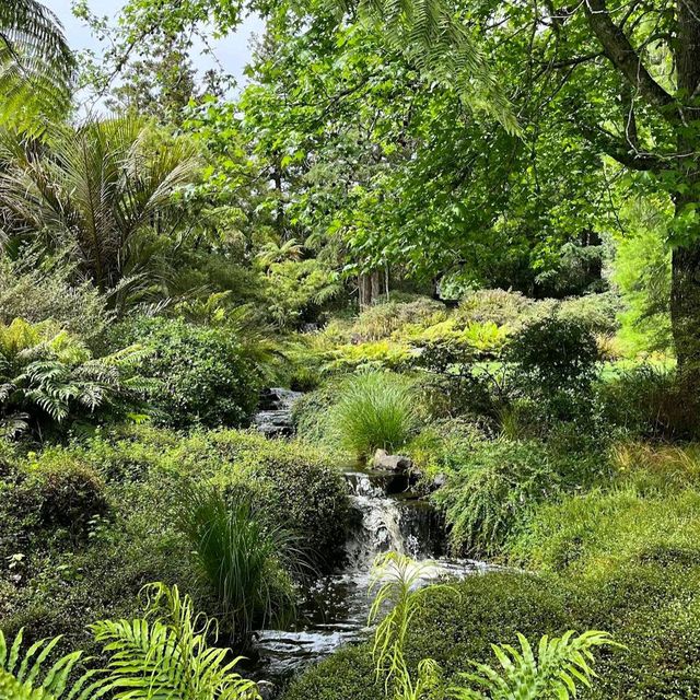 Ayrlies Garden and Wetlands