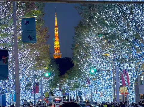東京的冬天,從六本木開始亮起來。