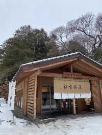 【札幌|冬季最療癒半日】北海道神宮雪參道+神宮茶屋抹茶+森彥咖啡老宅,冬日𥚃的小確幸