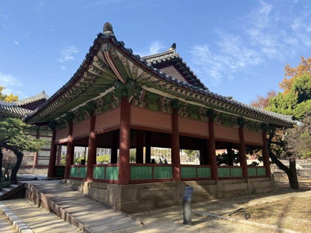 서울에서 만난 가장 아름다운 가을, 덕수궁 단풍 산책