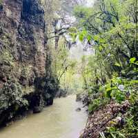 Waitomo Glowworm Caves