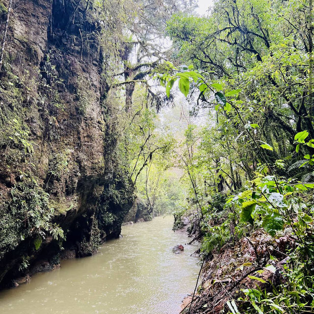 Waitomo Glowworm Caves