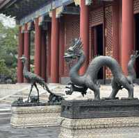 Summer Zen Views 🌞