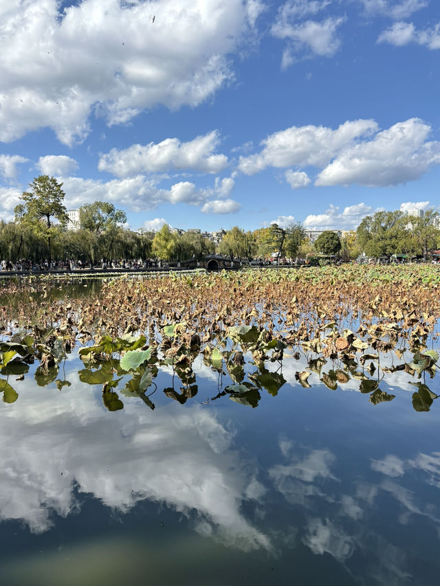 영원한 봄의 도시, 꽃이 지지않는 쿤밍